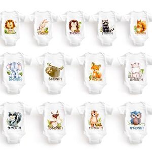 Mile stone baby onesies 1 month - 12 months